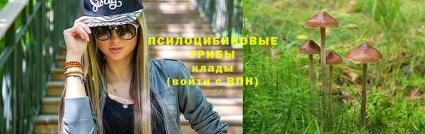 таблы Алексин