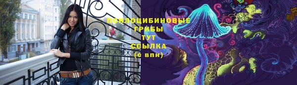 a pvp Алзамай